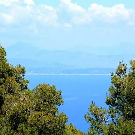 Thalea Tsoukaládhes